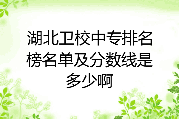 湖北卫校中专排名榜名单及分数线是多少啊