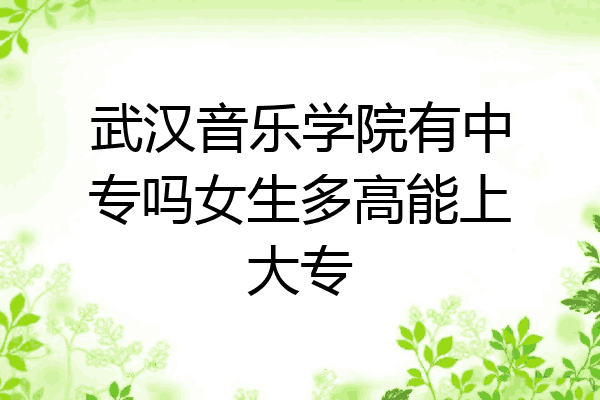武汉音乐学院有中专吗女生多高能上大专