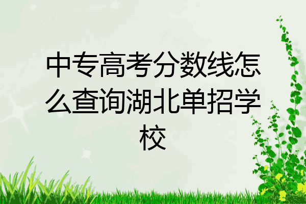 中专高考分数线怎么查询湖北单招学校