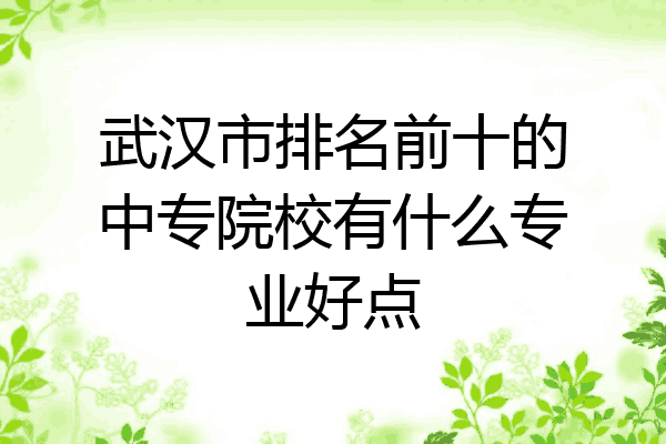 武汉市排名前十的中专院校有什么专业好点