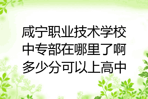 咸宁职业技术学校中专部在哪里了啊多少分可以上高中