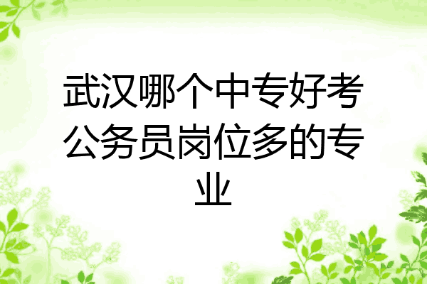 武汉哪个中专好考公务员岗位多的专业