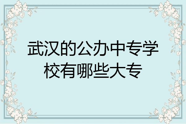 武汉的公办中专学校有哪些大专