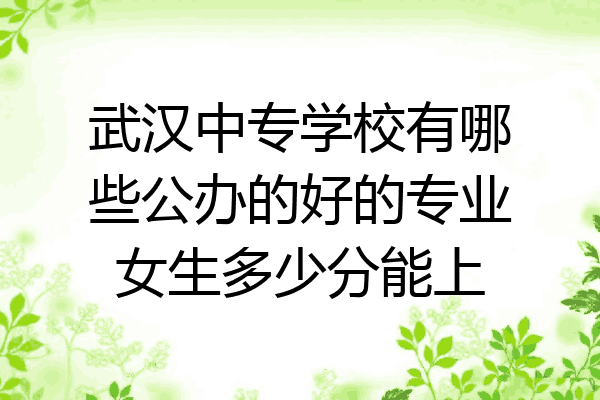 武汉中专学校有哪些公办的好的专业女生多少分能上