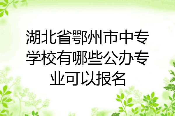 湖北省鄂州市中专学校有哪些公办专业可以报名