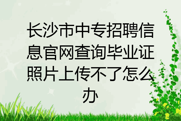 长沙市中专招聘信息官网查询毕业证照片上传不了怎么办