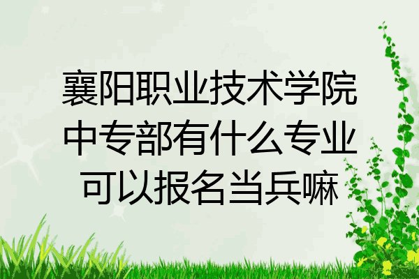 襄阳职业技术学院中专部有什么专业可以报名当兵嘛