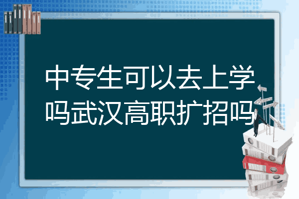 中专生可以去上学吗武汉高职扩招吗