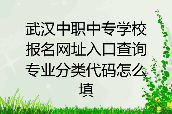 武汉中职中专学校报名网址入口查询专业分类代码怎么填