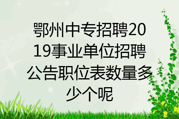 鄂州中专招聘2019事业单位招聘公告职位表数量多少个呢