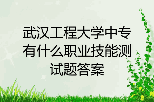 武汉工程大学中专有什么职业技能测试题答案