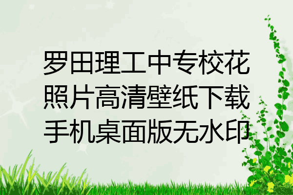 罗田理工中专校花照片高清壁纸下载手机桌面版无水印
