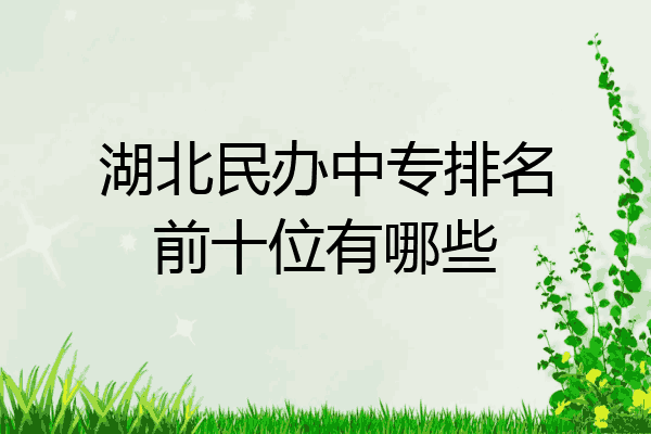 湖北民办中专排名前十位有哪些