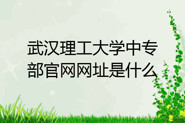 武汉理工大学中专部官网网址是什么