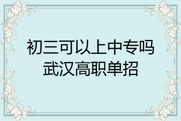 初三可以上中专吗武汉高职单招