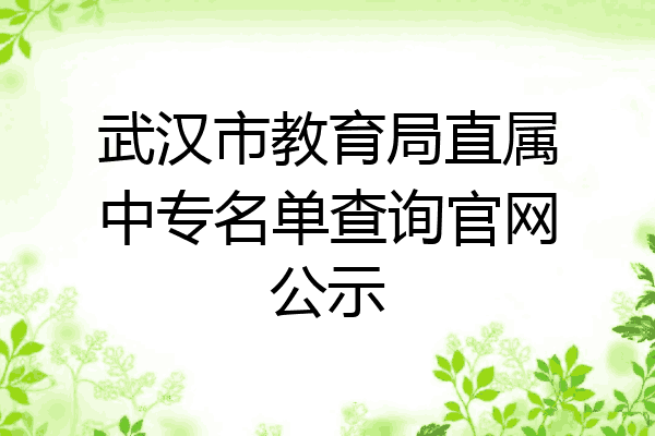 武汉市教育局直属中专名单查询官网公示