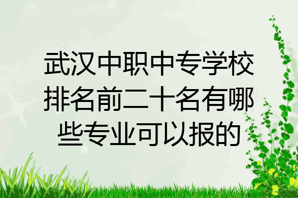 武汉中职中专学校排名前二十名有哪些专业可以报的