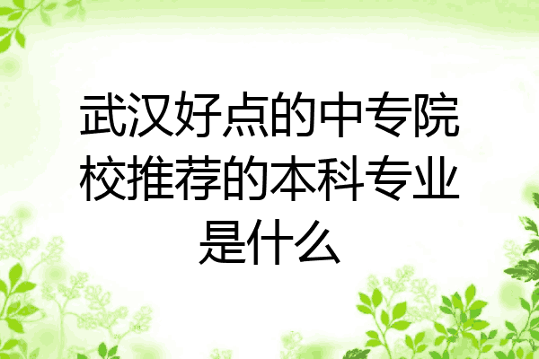武汉好点的中专院校推荐的本科专业是什么