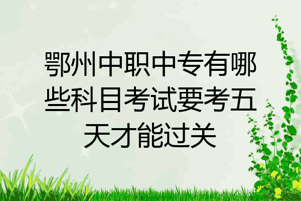 鄂州中职中专有哪些科目考试要考五天才能过关