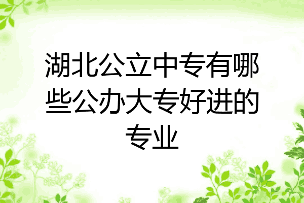 湖北公立中专有哪些公办大专好进的专业