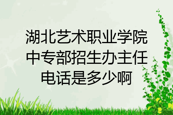 湖北艺术职业学院中专部招生办主任电话是多少啊