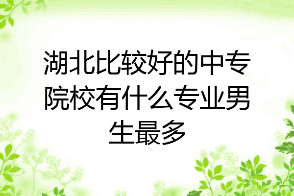湖北比较好的中专院校有什么专业男生最多