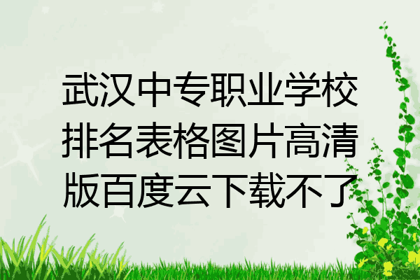 武汉中专职业学校排名表格图片高清版百度云下载不了
