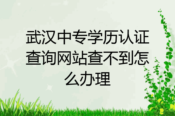 武汉中专学历认证查询网站查不到怎么办理