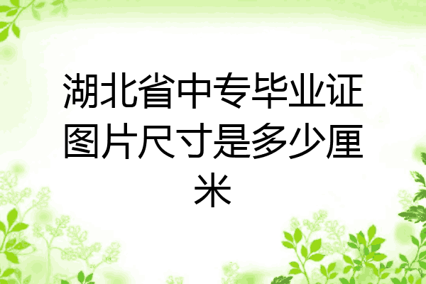 湖北省中专毕业证图片尺寸是多少厘米