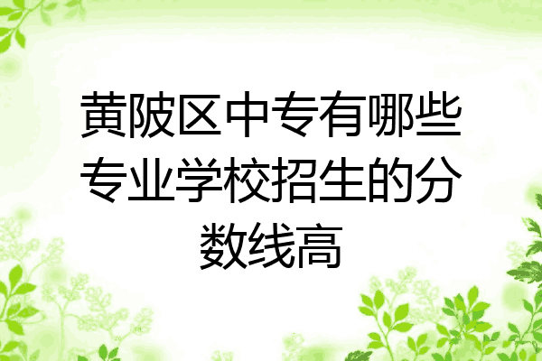 黄陂区中专有哪些专业学校招生的分数线高