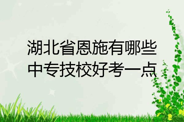 湖北省恩施有哪些中专技校好考一点