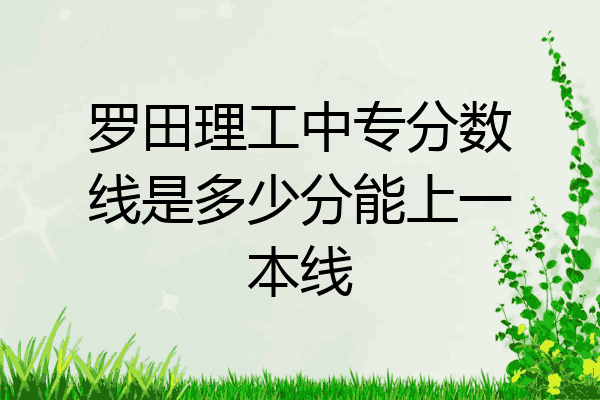 罗田理工中专分数线是多少分能上一本线