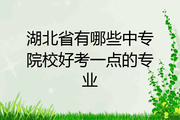 湖北省有哪些中专院校好考一点的专业