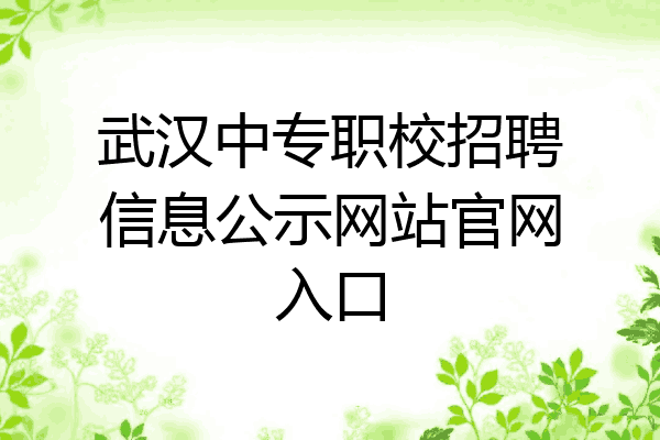 武汉中专职校招聘信息公示网站官网入口