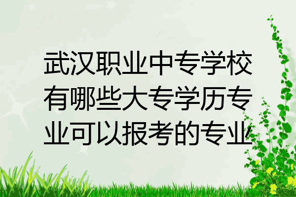 武汉职业中专学校有哪些大专学历专业可以报考的专业