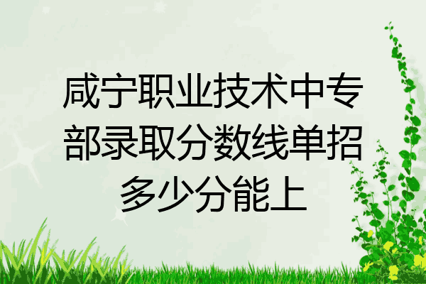 咸宁职业技术中专部录取分数线单招多少分能上