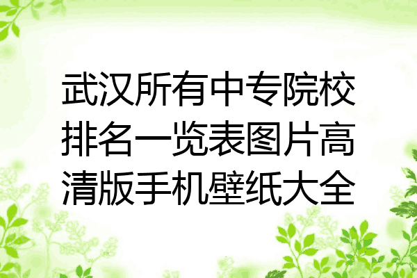 武汉所有中专院校排名一览表图片高清版手机壁纸大全