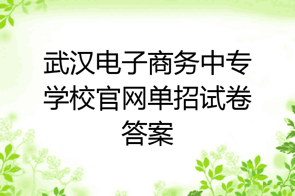 武汉电子商务中专学校官网单招试卷答案