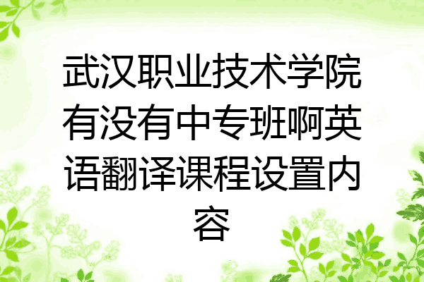 武汉职业技术学院有没有中专班啊英语翻译课程设置内容