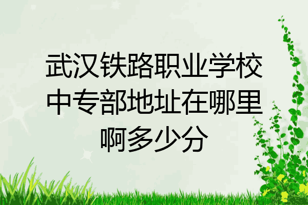 武汉铁路职业学校中专部地址在哪里啊多少分