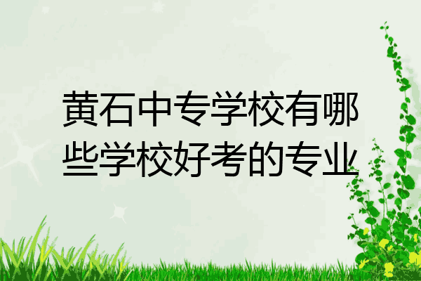 黄石中专学校有哪些学校好考的专业