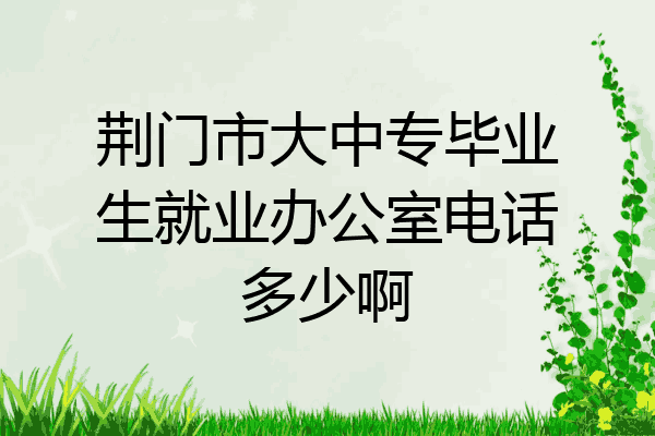 荆门市大中专毕业生就业办公室电话多少啊