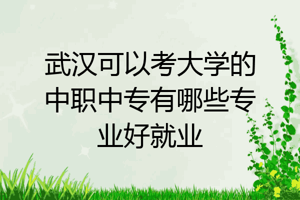 武汉可以考大学的中职中专有哪些专业好就业