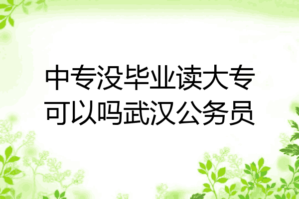 中专没毕业读大专可以吗武汉公务员