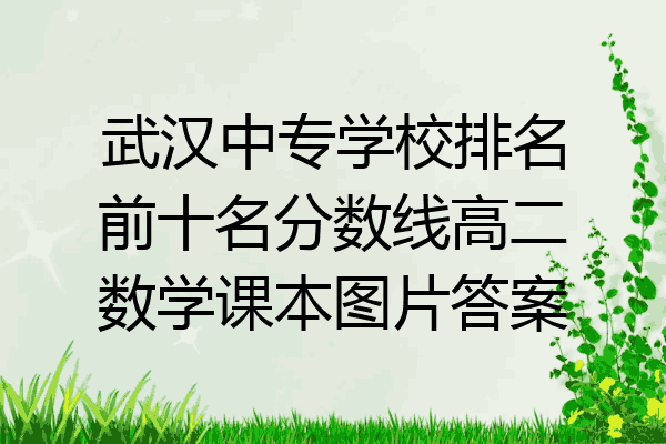 武汉中专学校排名前十名分数线高二数学课本图片答案