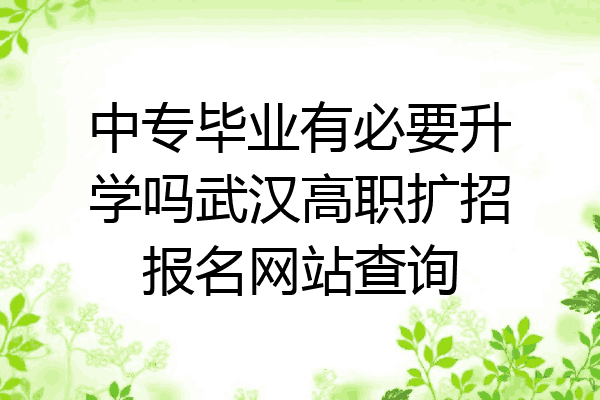中专毕业有必要升学吗武汉高职扩招报名网站查询