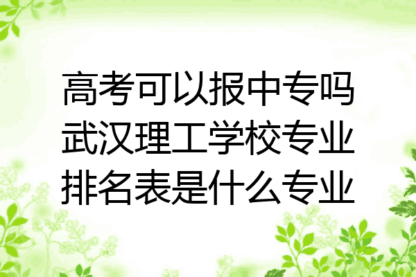 高考可以报中专吗武汉理工学校专业排名表是什么专业