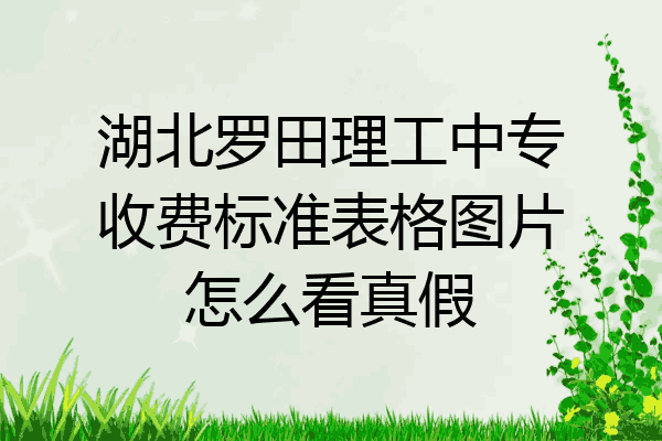 湖北罗田理工中专收费标准表格图片怎么看真假
