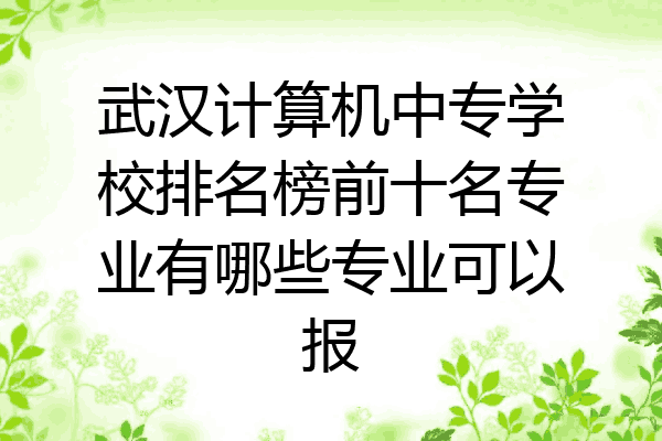 武汉计算机中专学校排名榜前十名专业有哪些专业可以报