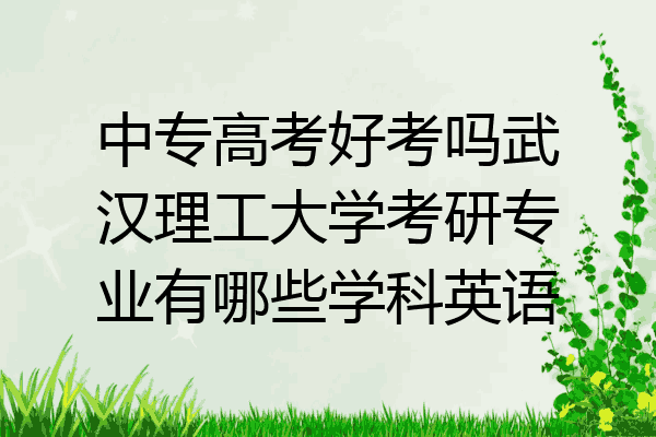 中专高考好考吗武汉理工大学考研专业有哪些学科英语